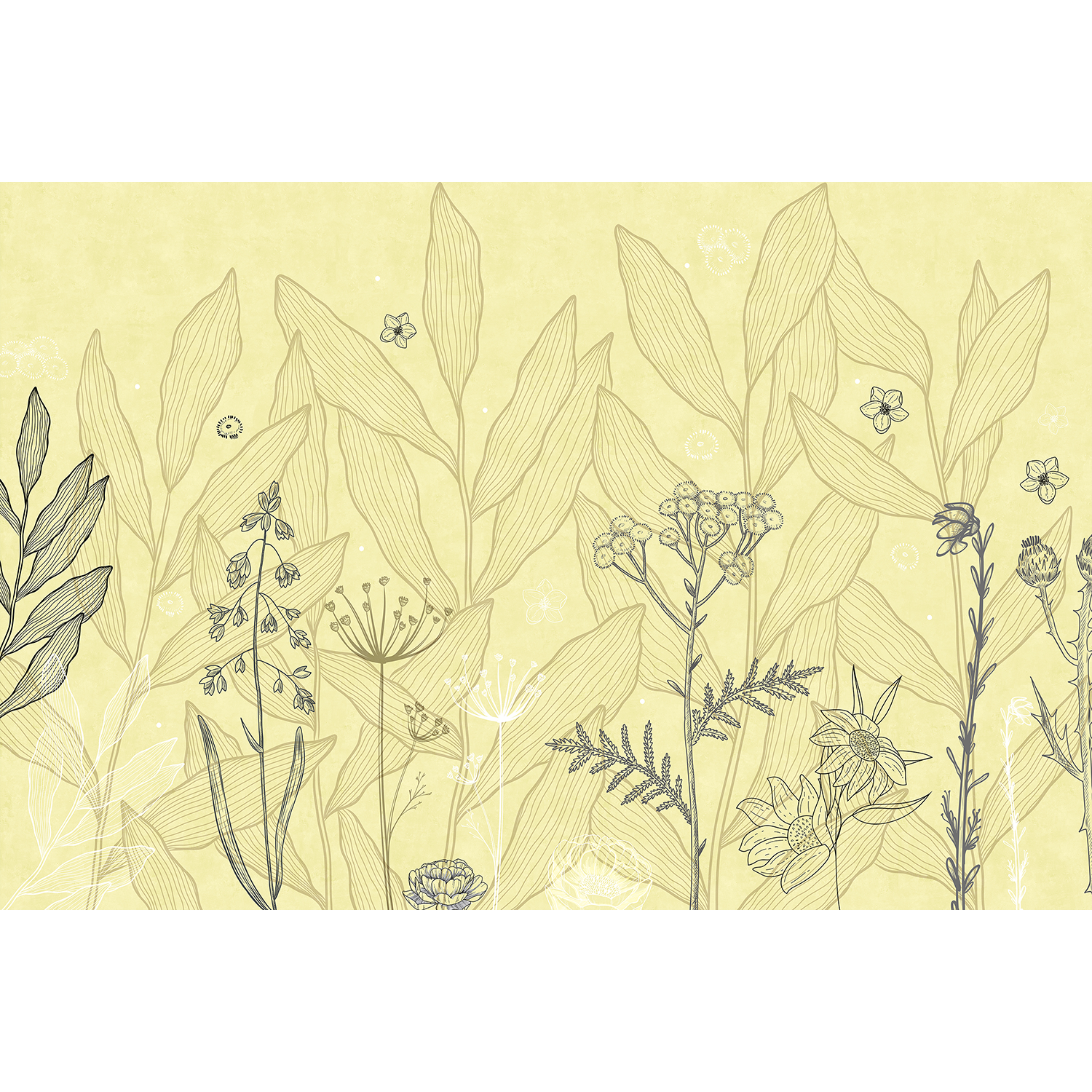 Minimalist yellow floral sketch - "tropical" wallpaper mural-equal final