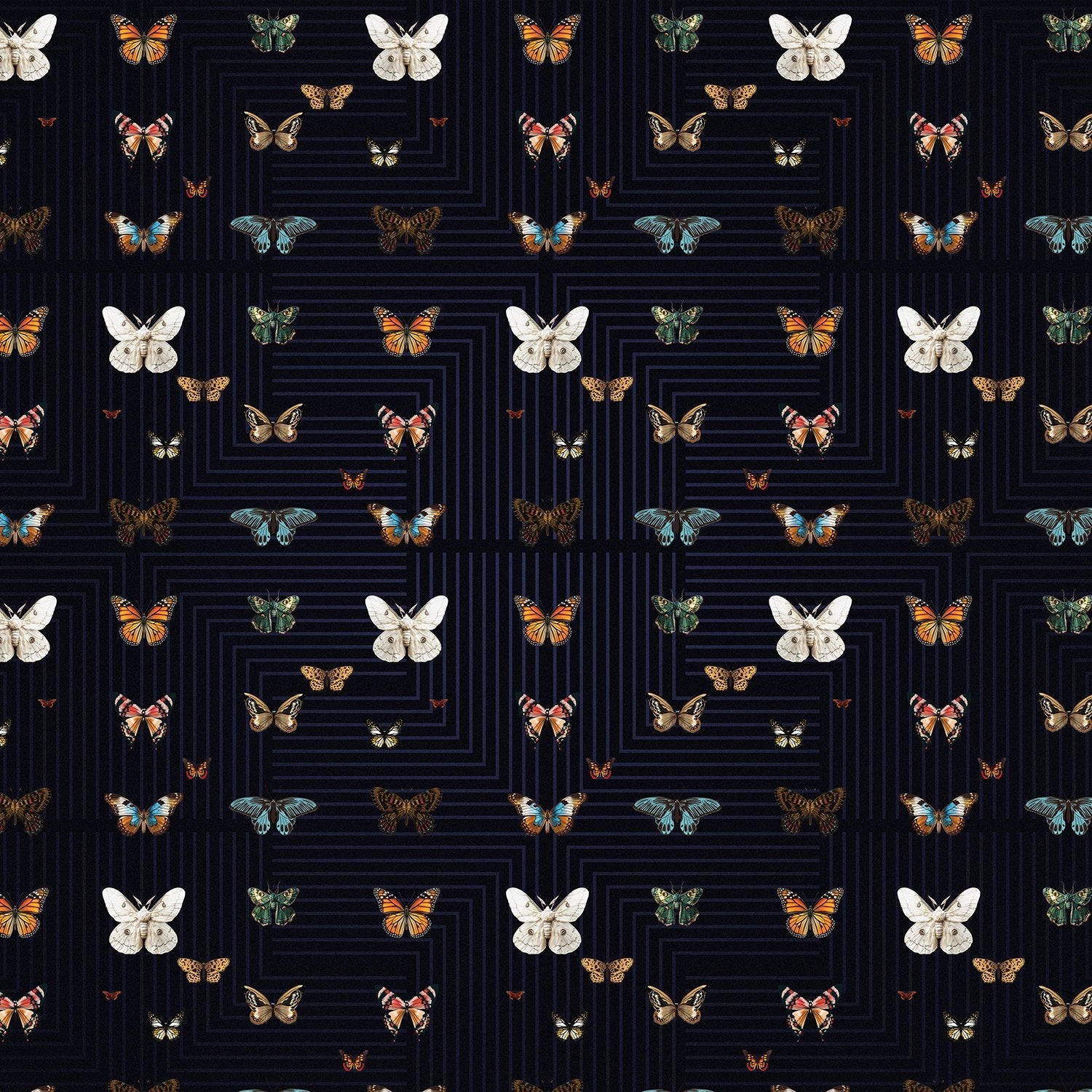 Butterflies in various colors arranged on black background with geometric circuit board lines - view 14 - final