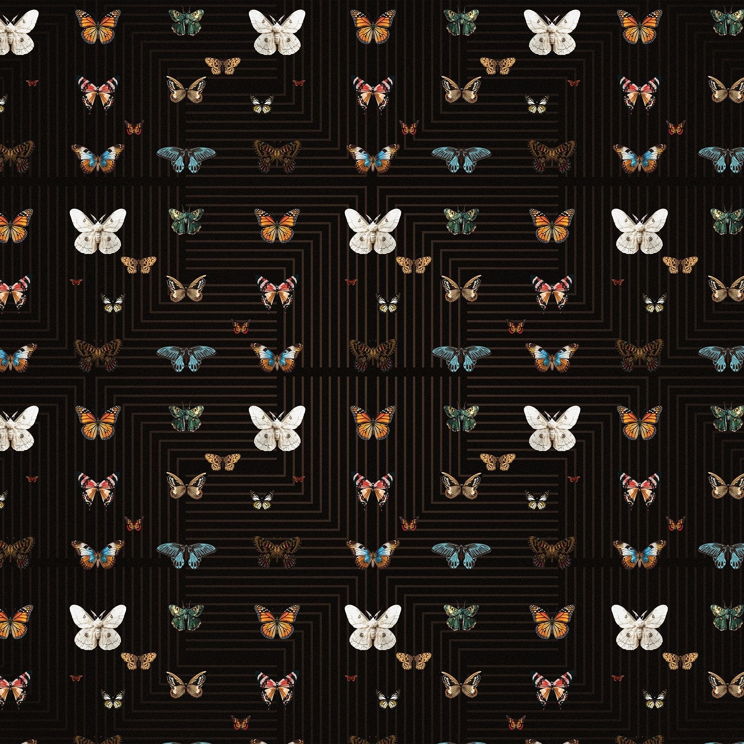 Butterflies in various colors arranged on black background with geometric circuit board lines - view 9 - final