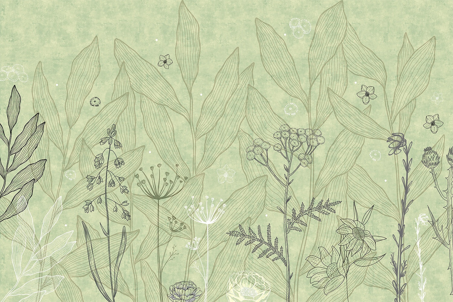 Minimalist green floral sketch - "tropical" wallpaper mural-inequal final