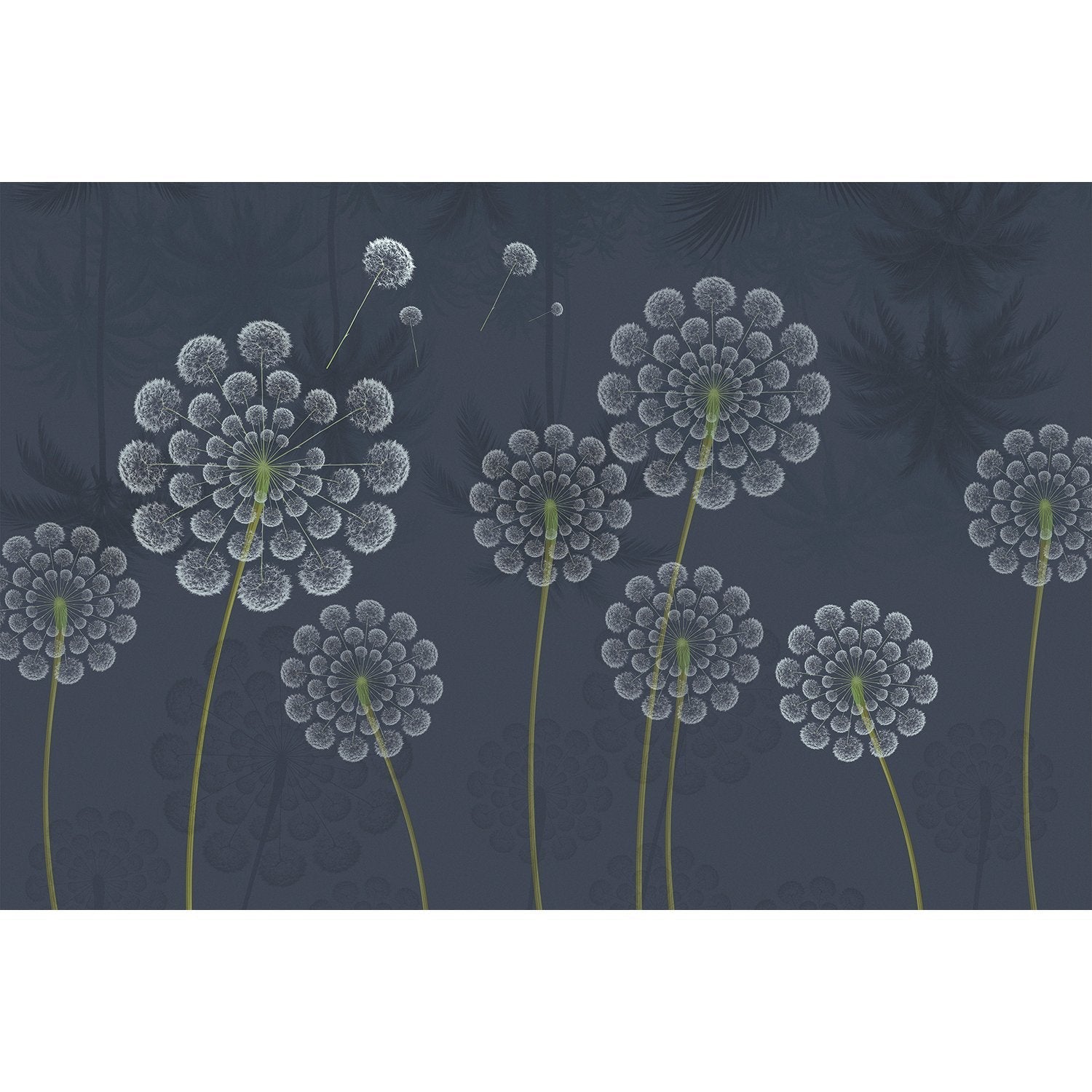 Stylized white dandelion flowers with spherical seedheads against deep emerald green background - view 11 - mural-equal - final