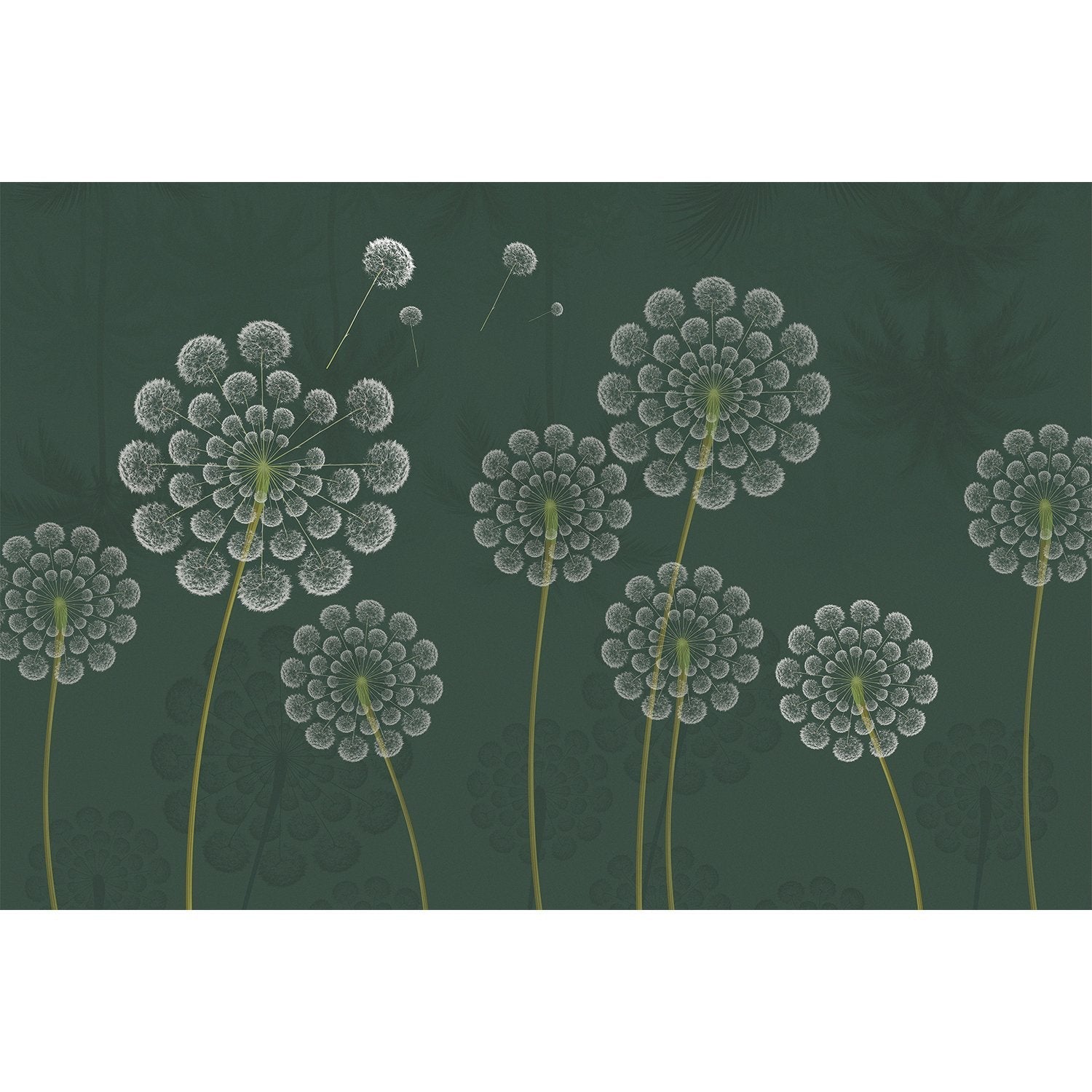 Stylized white dandelion flowers with spherical seedheads against deep emerald green background - view 5 - mural-equal - final