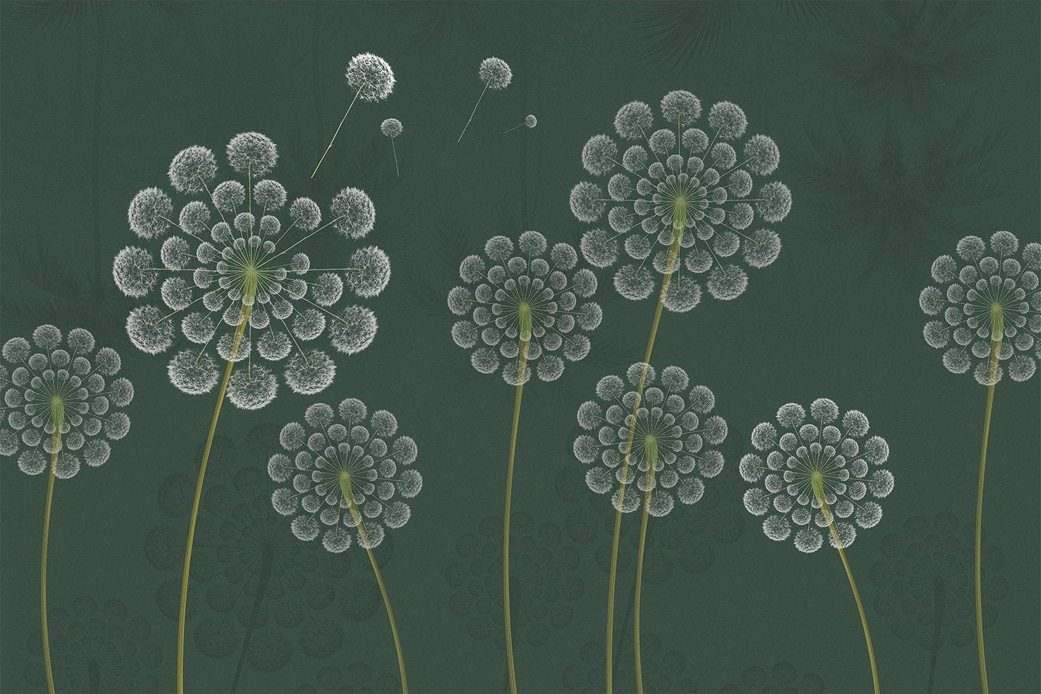 Stylized white dandelion flowers with spherical seedheads against deep emerald green background - view 6 - mural-inequal - final