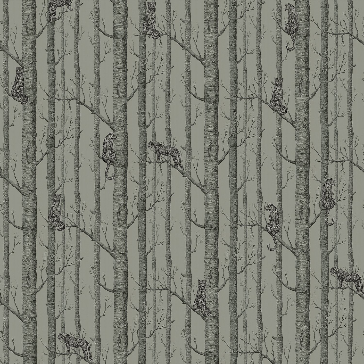 Serene woodland scene with silver birch trees on sage green background, modern Scandinavian style - view 14 - final