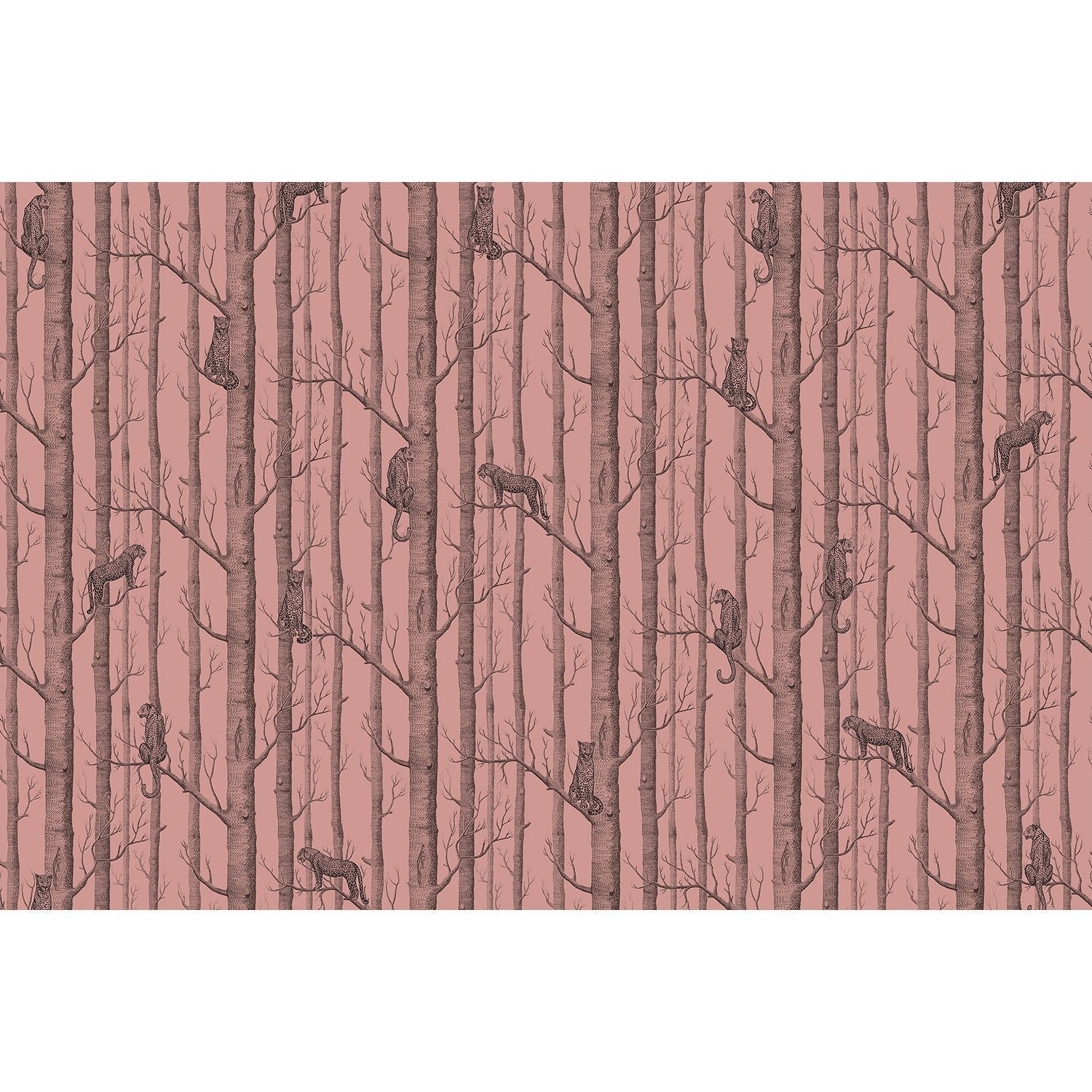 Cheetah in lush green canopy - "fauna" wallpaper mural-equal final