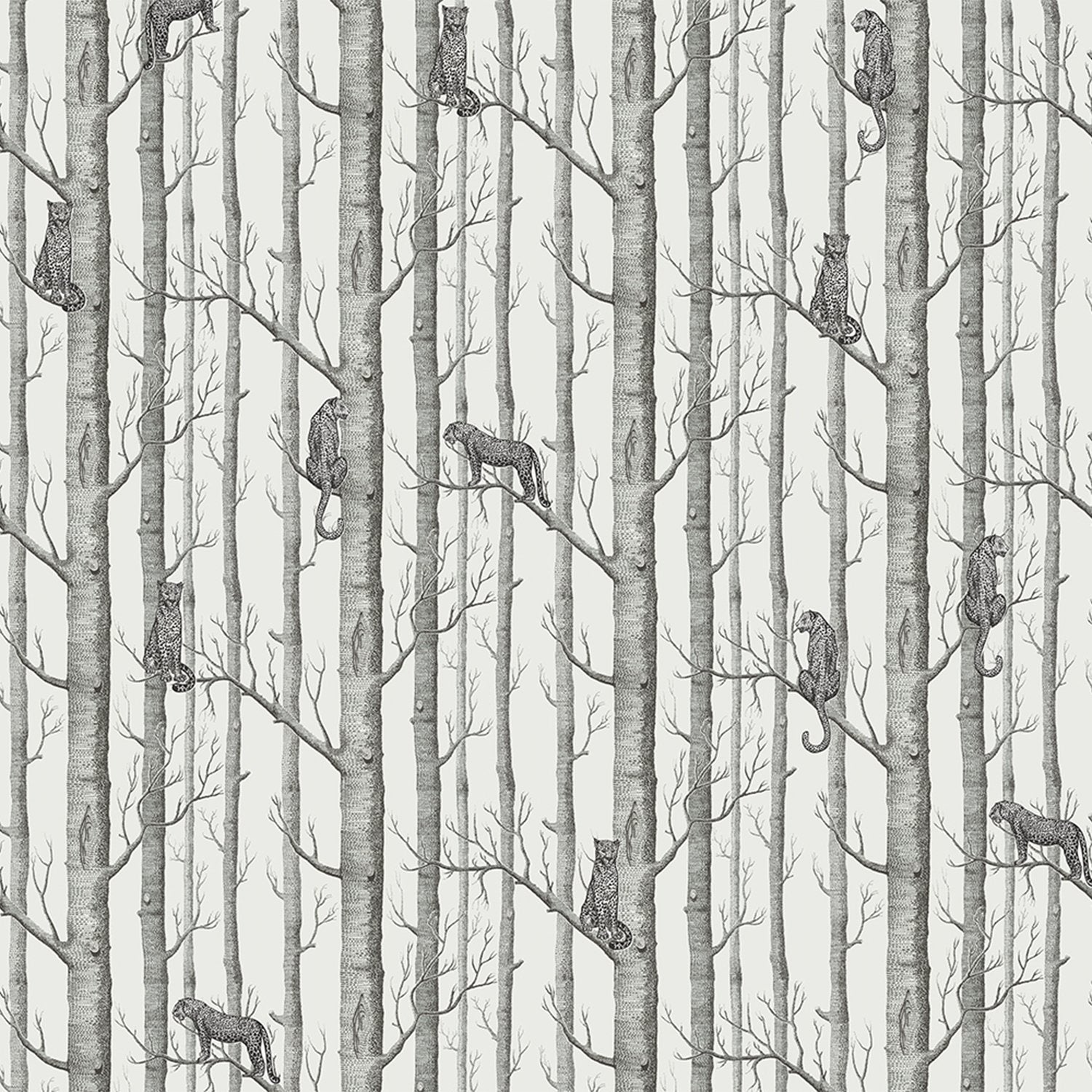 Serene woodland scene with silver birch trees on sage green background, modern Scandinavian style - view 8 - final