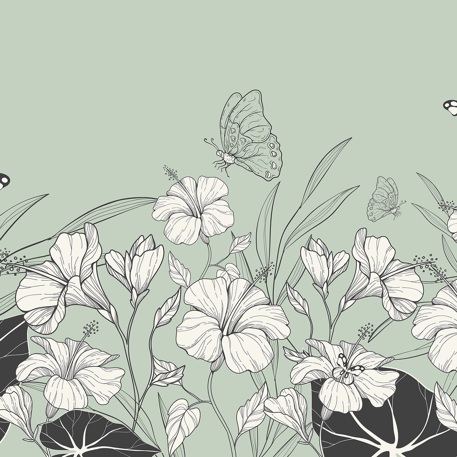 Large grayscale hibiscus flowers and butterflies create elegant modern botanical mural on gray background - view 16 - final