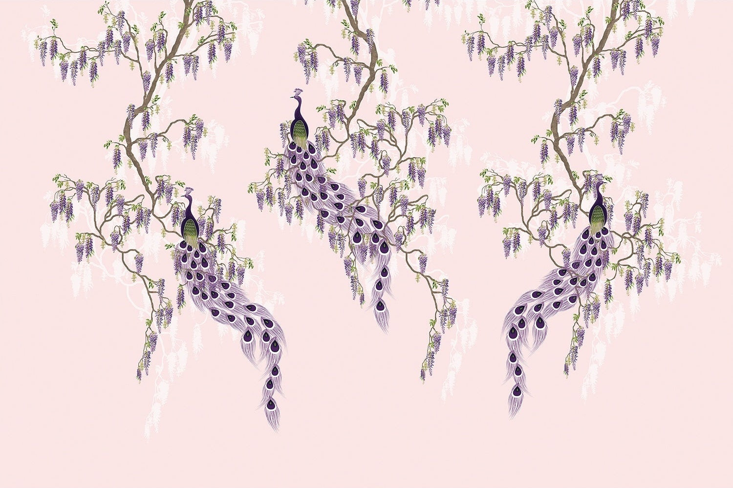 Elegant chinoiserie with purple peacocks and cascading wisteria branches on blush pink background - view 6 - mural-inequal - final