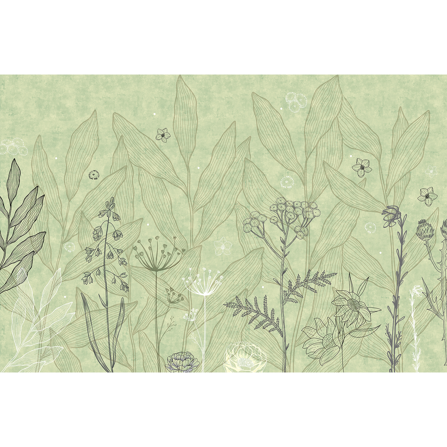 Minimalist green floral sketch - "tropical" wallpaper mural-equal final