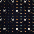 Butterflies in various colors arranged on black background with geometric circuit board lines - view 14 - final